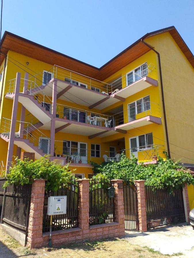 Hotel Vila Cata Costinesti Extérieur photo